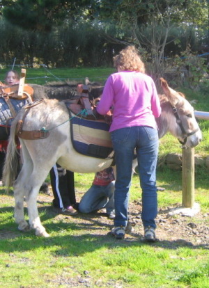 préparation randonnée avec âne bretagne